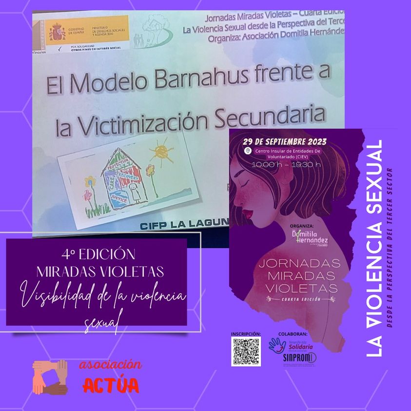 IV Jornadas Miradas Violetas