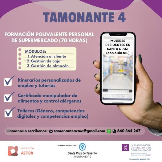 Proyecto Tamonante 4